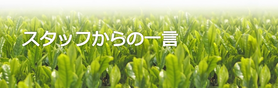 スタッフから一言